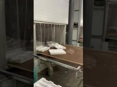 Máquina de moldagem de EPS