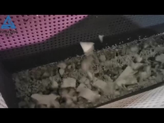 Máquina de reciclagem de EPS em funcionamento