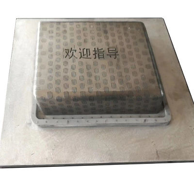 Molde plástico feito sob encomenda da máquina da injeção EPTU EPS