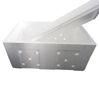 EPS Foam Mold Custom Precise Consistente Produção de Produto