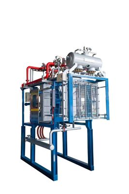 Máquina de moldagem de forma EPS avançada Caixa de espuma de poliestireno para embalagem de vegetais