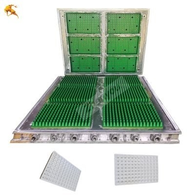 Fabricante de moldes de plástico EPS de alta qualidade