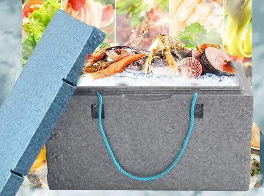 Liga de alumínio do molde 6063 do PPE EPS da caixa de peixes para o marisco e o fruto fresco